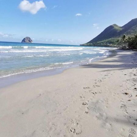 Villa Coquillage A 50 Metres De La Plage Le Diamant Luaran gambar